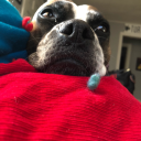 beastnfirebomb avatar