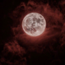 beatingtheshitoutofmen avatar