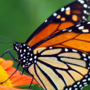 beautifuldefendorcollective avatar