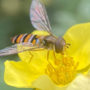 beautifulfartgalaxy avatar