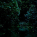 beautifulohboy avatar