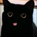 beautifulzombieland avatar