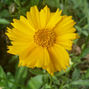 beauty-and-truth avatar