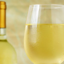 beauty-in-filth avatar