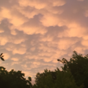 beautyinsidefaith avatar