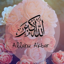 beautyislam avatar