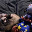 beeshoesometimesdraws avatar