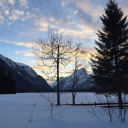 beetjeverdrietig avatar