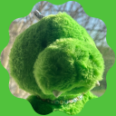 beetle-and-friends avatar