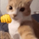 beetlebitchywitch avatar