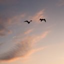 beforeyearning avatar