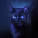 begatcat avatar