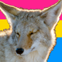 beginningofourend avatar