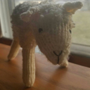 believeinthe13 avatar