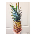 believewhileothersdoubt avatar