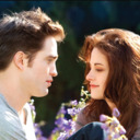 bella-edward-cullen avatar