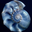 bellaaaasstuff avatar