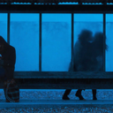 benegeninincisi avatar