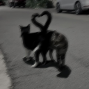 benegeninincisiiiisblog avatar