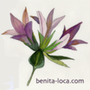 benita-loca-blog avatar