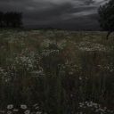 benses-sizlik111 avatar