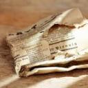 bernardellitimes avatar