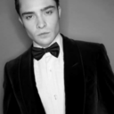 best-doggo-memes avatar