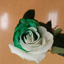 best-username-forever avatar