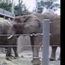 best-youtube-video-battle avatar