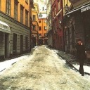 bestdamnavocados avatar