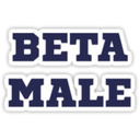 betagoonerboy-blog avatar