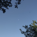 betterthanfive avatar