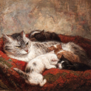 betterthantea avatar