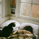 between-heaven-and-disaster avatar