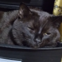 betyoudidntcthatcoming avatar