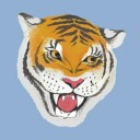 bewareof-theiguana avatar