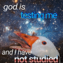 bewareofgoose avatar