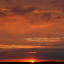 beyondmyhouse avatar