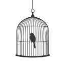 beyondthebirdcage-blog avatar