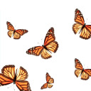 bibliophileforevs avatar