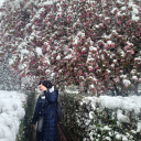 bicaykoyayimbari avatar