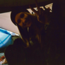 bielefeld-mit-hitniveau avatar