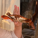 big-eds-crab-shack avatar