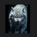 bigbaddwolf47 avatar