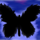 bigblackbutterfly avatar