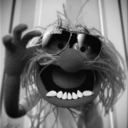 bigfootforpresident avatar