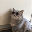 biggus-di-kkus avatar