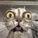 bigmegamindbrain avatar