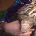 bih-come-thru avatar