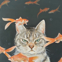 bihallerbihaller avatar